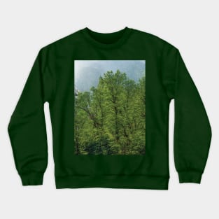 Beautiful Tree Crewneck Sweatshirt